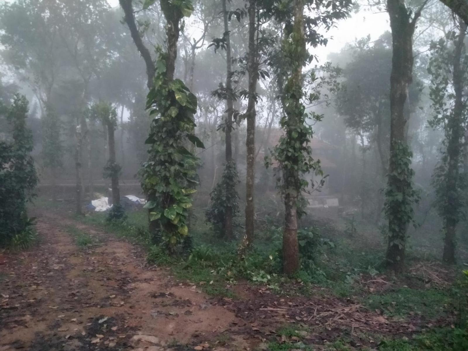 Tharayil Farm Stay Vagamon Exterior photo