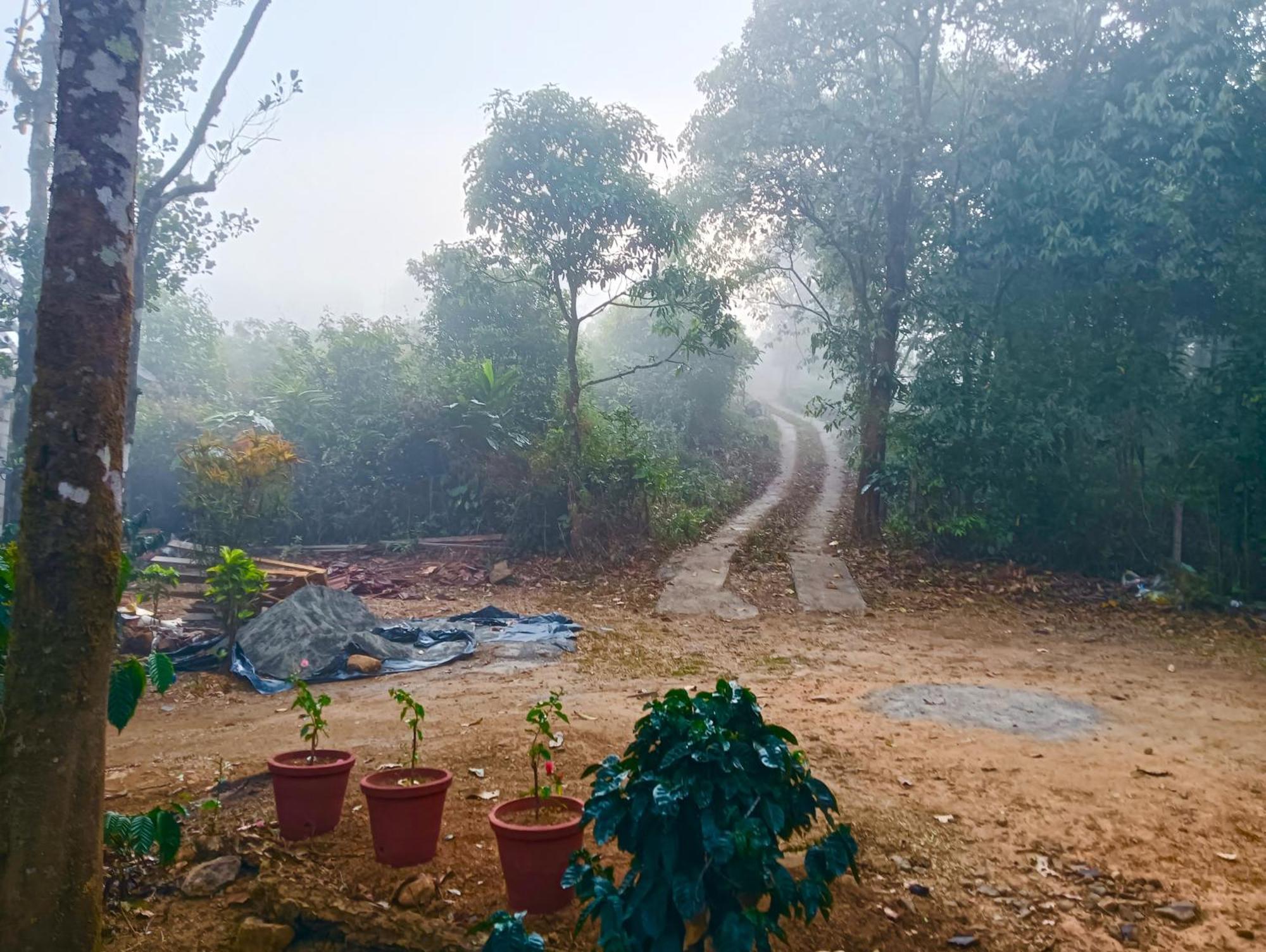 Tharayil Farm Stay Vagamon Exterior photo
